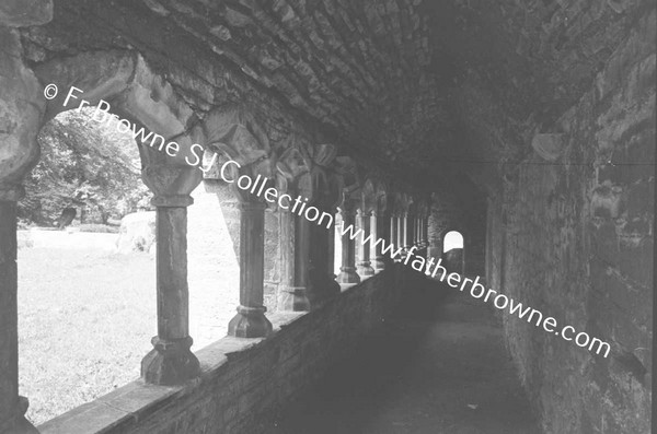 ARDFERT FRIARY SCENES CLOISTERS